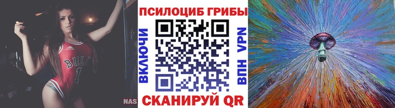 Купить закладки  Циолковский  Галлюциногенные грибы GOLDEN TEACHER 