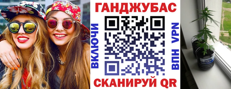 Купить где  Циолковский  Бошки Шишки план 